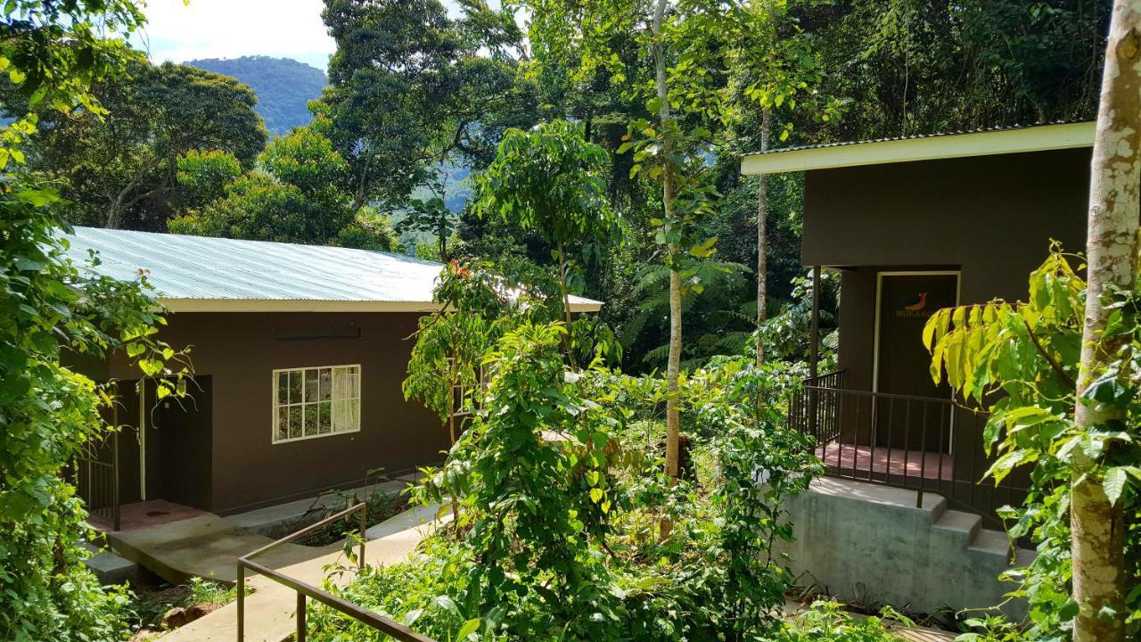 Bwindi Guest House Kanungu Exterior foto